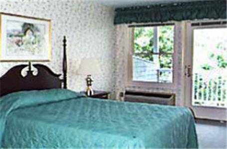 North Conway Mountain Inn Rum bild